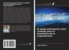 El apoyo psicosocial como remedio para el pronóstico de la esquizofrenia kitap kapağı