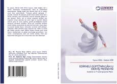 EDİRNELİ GÜFTÎ’NİN ŞÂH U DERVÎŞ MESNEVİSİ kitap kapağı