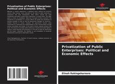 Borítókép a  Privatization of Public Enterprises: Political and Economic Effects - hoz