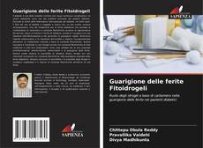Buchcover von Guarigione delle ferite Fitoidrogeli