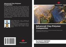 Capa do livro de Advanced Clay-Polymer Composites 