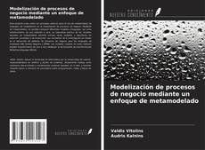 Couverture de Modelización de procesos de negocio mediante un enfoque de metamodelado