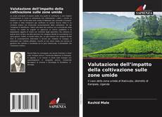 Buchcover von Valutazione dell’impatto della coltivazione sulle zone umide