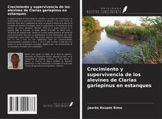 Couverture de Crecimiento y supervivencia de los alevines de Clarias gariepinus en estanques