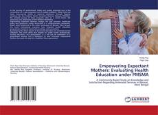 Обложка Empowering Expectant Mothers: Evaluating Health Education under PMSMA