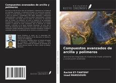 Обложка Compuestos avanzados de arcilla y polímeros