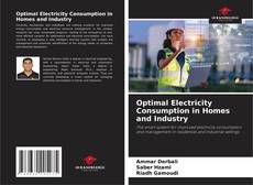Bookcover of Optimal Electricity Consumption in Homes and Industry