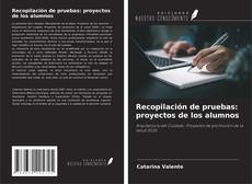 Recopilación de pruebas: proyectos de los alumnos的封面