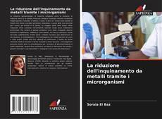 Couverture de La riduzione dell'inquinamento da metalli tramite i microrganismi