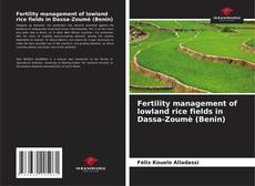 Fertility management of lowland rice fields in Dassa-Zoumè (Benin)的封面