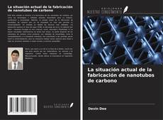 Copertina di La situación actual de la fabricación de nanotubos de carbono