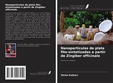 Couverture de Nanopartículas de plata fito-sintetizadas a partir de Zingiber officinale