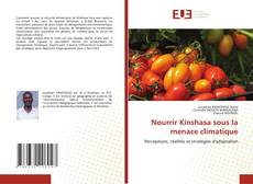 Nourrir Kinshasa sous la menace climatique kitap kapağı