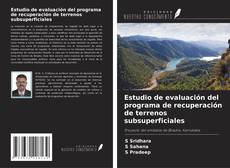 Copertina di Estudio de evaluación del programa de recuperación de terrenos subsuperficiales