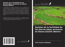 Couverture de Gestión de la fertilidad de las tierras bajas arroceras en Dassa-Zoumè (Benín)