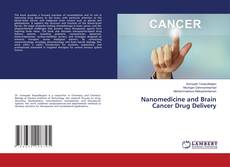 Обложка Nanomedicine and Brain Cancer Drug Delivery