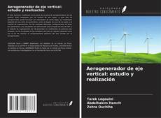 Bookcover of Aerogenerador de eje vertical: estudio y realización
