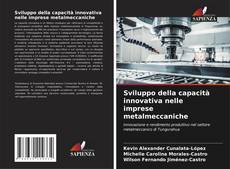 Capa do livro de Sviluppo della capacità innovativa nelle imprese metalmeccaniche 
