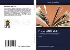Bookcover of Protais LUMBU VII.2.