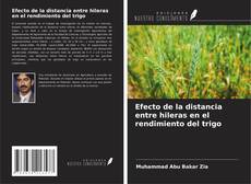Couverture de Efecto de la distancia entre hileras en el rendimiento del trigo