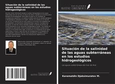 Обложка Situación de la salinidad de las aguas subterráneas en los estudios hidrogeológicos