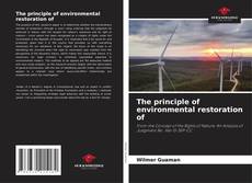 Borítókép a  The principle of environmental restoration of - hoz