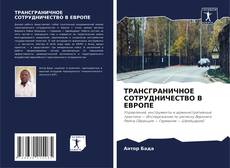 Copertina di ТРАНСГРАНИЧНОЕ СОТРУДНИЧЕСТВО В ЕВРОПЕ