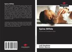 Bookcover of Spina Bifida