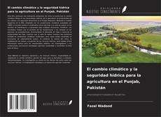 Capa do livro de El cambio climático y la seguridad hídrica para la agricultura en el Punjab, Pakistán 