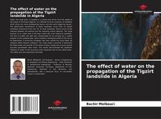 The effect of water on the propagation of the Tigzirt landslide in Algeria kitap kapağı