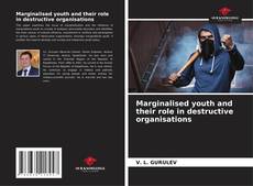 Bookcover of Marginalised youth and their role in destructive organisations