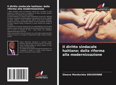 Capa do livro de Il diritto sindacale haitiano: dalla riforma alla modernizzazione 