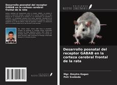 Desarrollo posnatal del receptor GABAB en la corteza cerebral frontal de la rata的封面