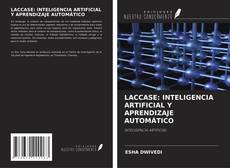 LACCASE: INTELIGENCIA ARTIFICIAL Y APRENDIZAJE AUTOMÁTICO kitap kapağı