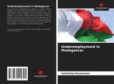 Bookcover of Underemployment in Madagascar