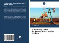 Couverture de Einführung in die Strömung durch poröse Medien