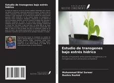 Couverture de Estudio de transgenes bajo estrés hídrico
