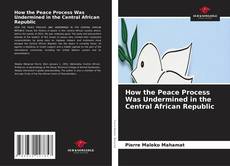 Bookcover of How the Peace Process Was Undermined in the Central African Republic
