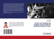 Portada del libro de EFFECT OF SEASON ON SEMEN COLLECTION OF MURRAH BUFFALO BULL