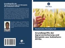 Bookcover of Grundbegriffe der Agrarversicherung und Beispiele aus Subsahara-Afrika