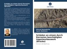 Buchcover von Schäden an einem durch Korrosion beschädigten Ingenieurbauwerk (Brücke)