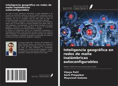 Copertina di Inteligencia geográfica en redes de malla inalámbricas autoconfigurables