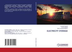 Copertina di ELECTRICITY STORAGE