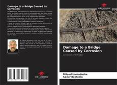 Borítókép a  Damage to a Bridge Caused by Corrosion - hoz