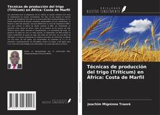 Copertina di Técnicas de producción del trigo (Triticum) en África: Costa de Marfil