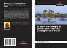 Capa do livro de Boboye: An Example of Small-Scale Irrigation Development in Niger 