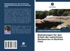Buchcover von Bedrohungen für den Erhalt der natürlichen Ressourcen in Burkina Faso
