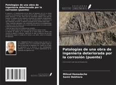 Обложка Patologías de una obra de ingeniería deteriorada por la corrosión (puente)