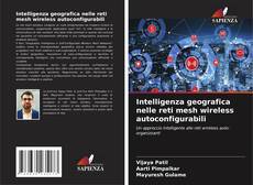 Copertina di Intelligenza geografica nelle reti mesh wireless autoconfigurabili