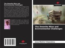 Обложка The Ilmenite Mine and Environmental Challenges